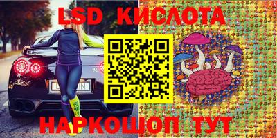 СК Новозыбков