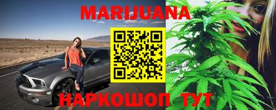 СК Новозыбков