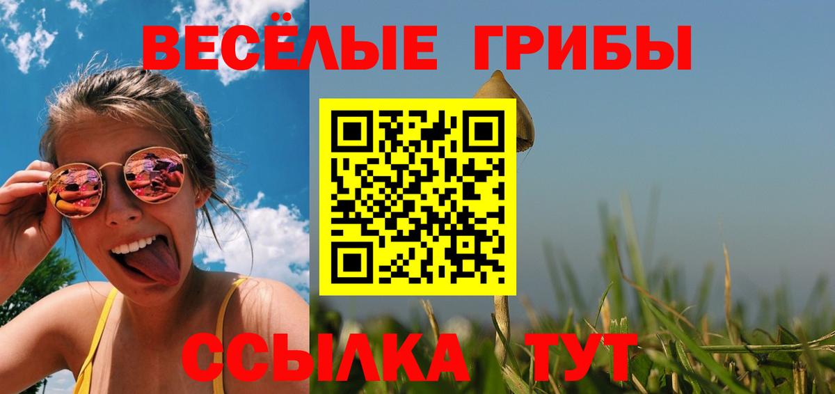 Галлюциногенные грибы Psilocybe Уссурийск